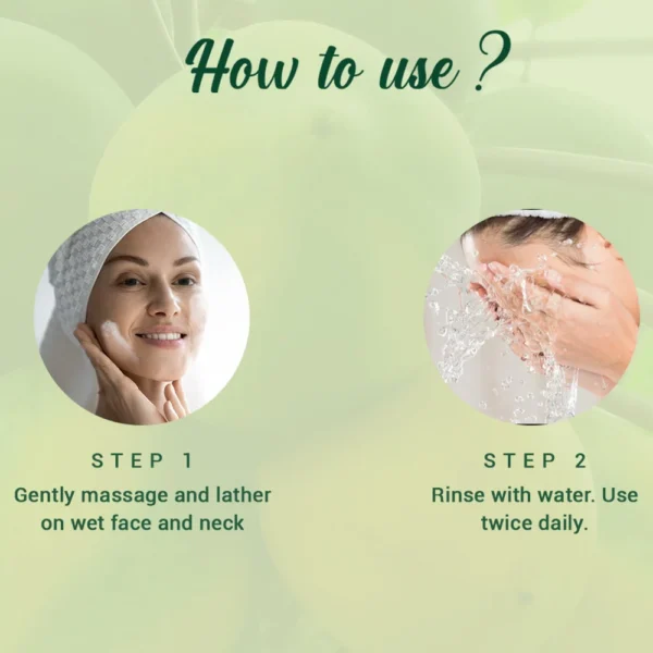Biotique Advanced Ayurveda Papaya Deep Cleanse Face Wash